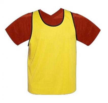 TRAINING BIB